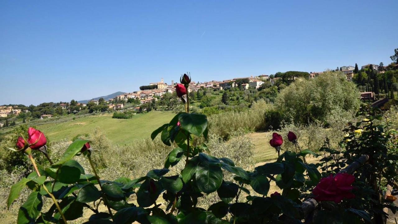 Case&Colline Buonriposo Montescudaio Bagian luar foto